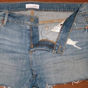 Loft Distressed Denim Shorts